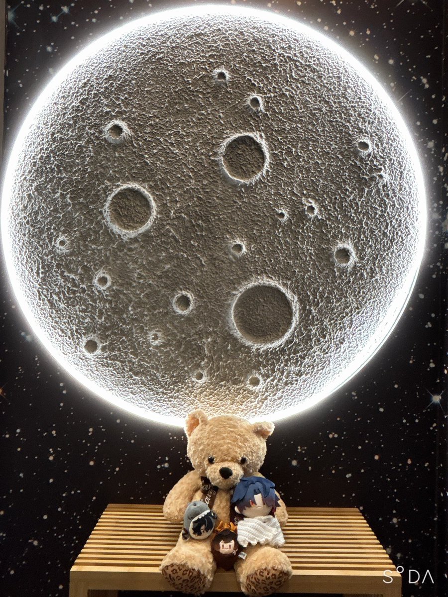 オタクとヌン茶来ました