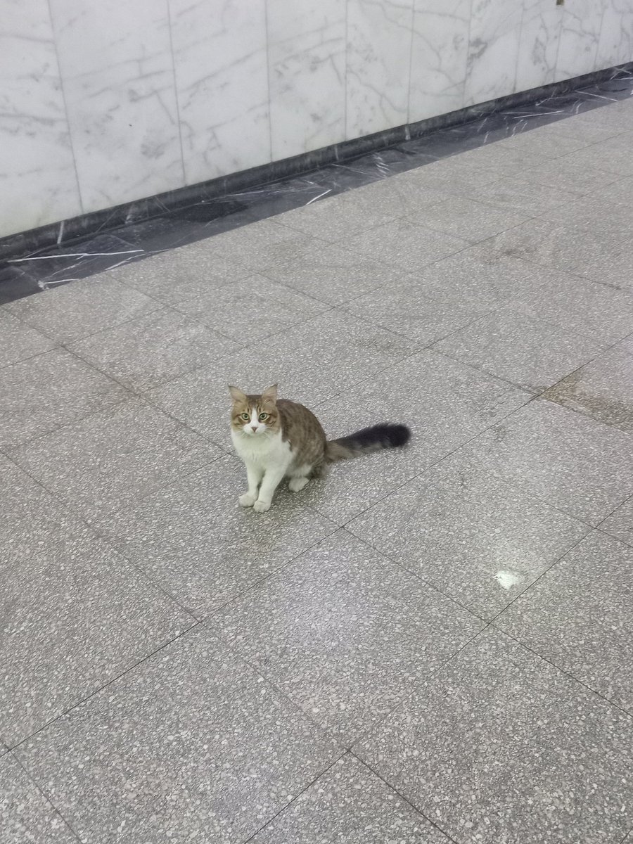 أمن وأمان المستشفى