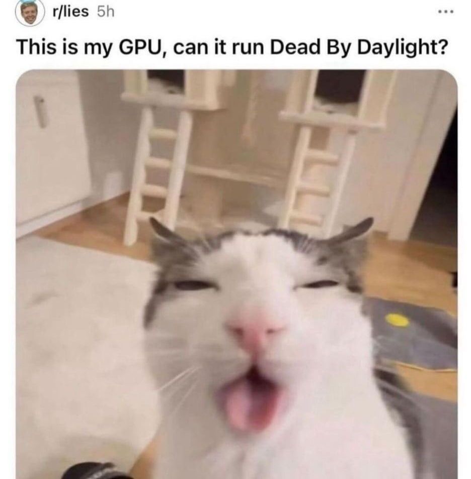 🕐HOURLY🕑 shitpost tweet media