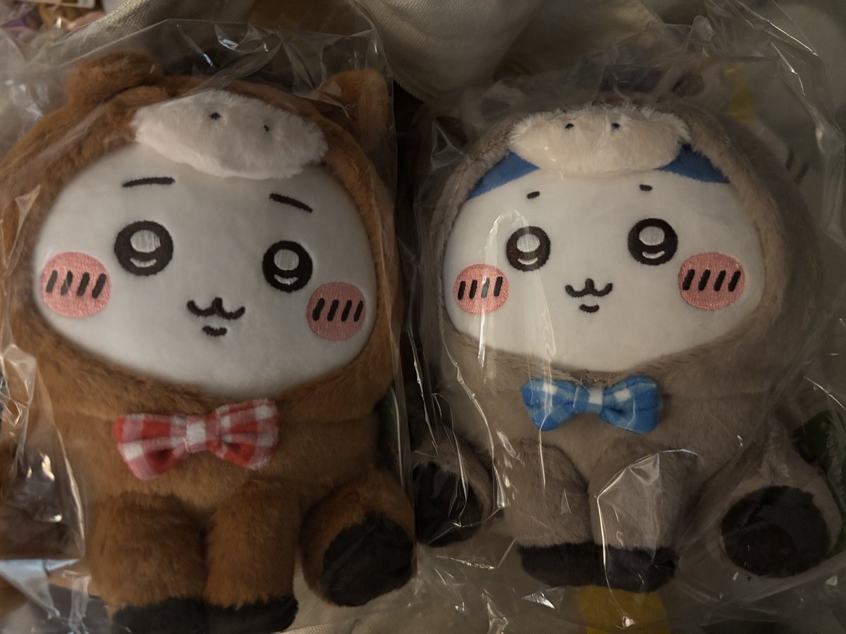 マサ (@02181988) / Posts / X