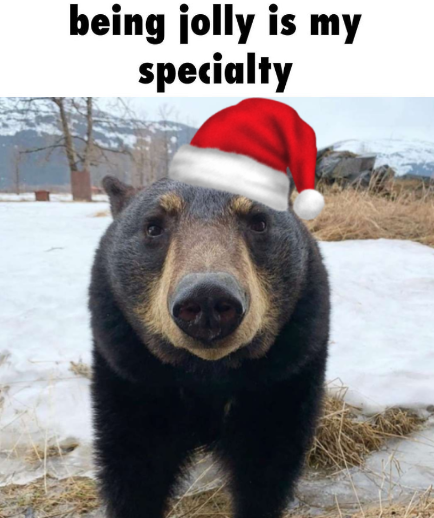 BearyDales's tweet image. 