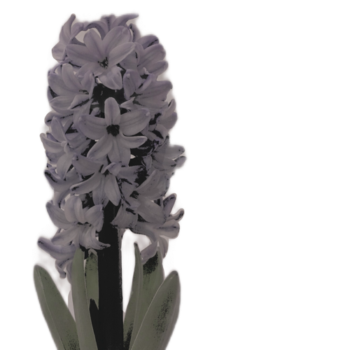  𝑗͟𝑎𝒄𝒊𝒏𝒕𝒐. tweet media