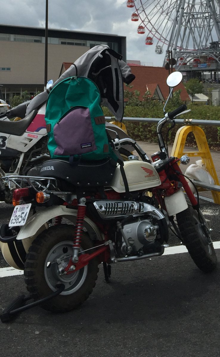 ハチわん！🐶🐕 (@Hachi_86gt) / Posts / X