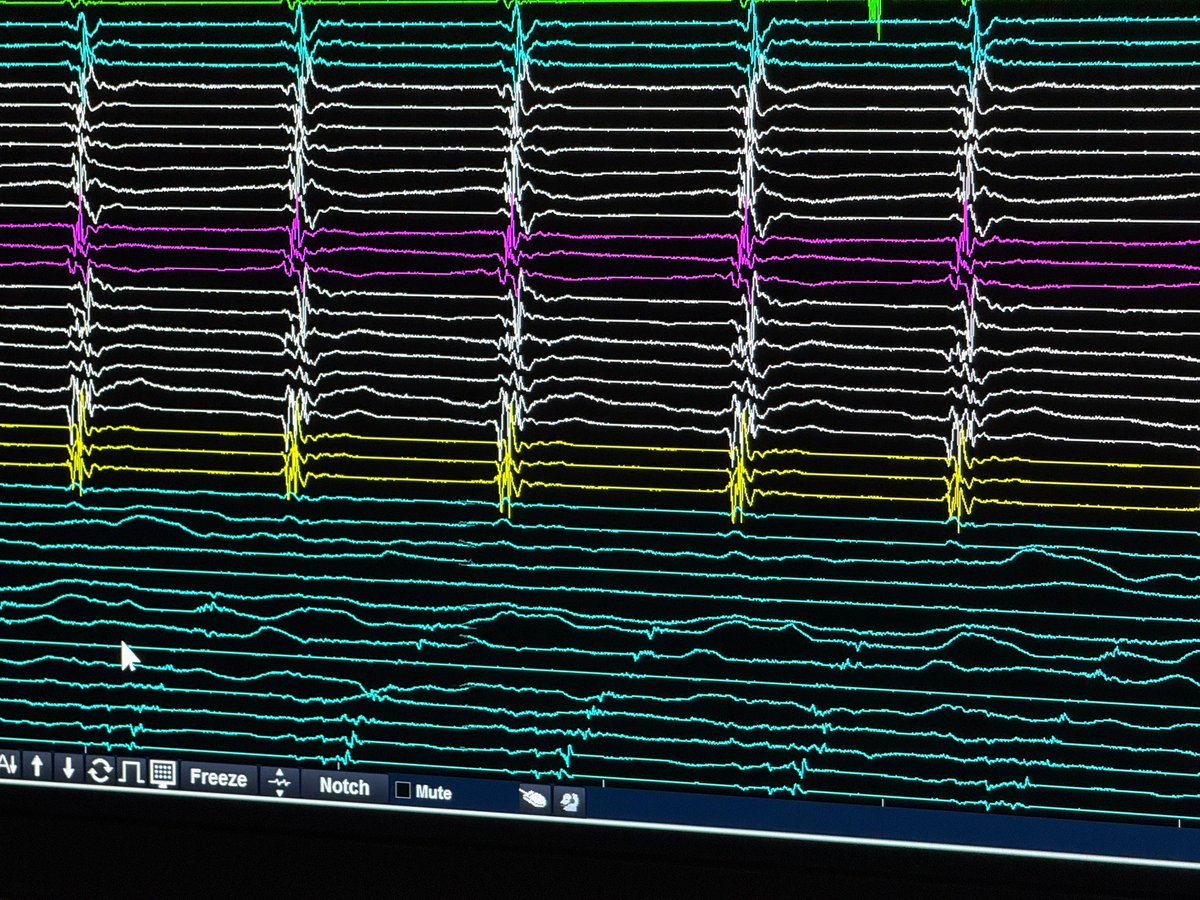 Roderick Tung tweet media