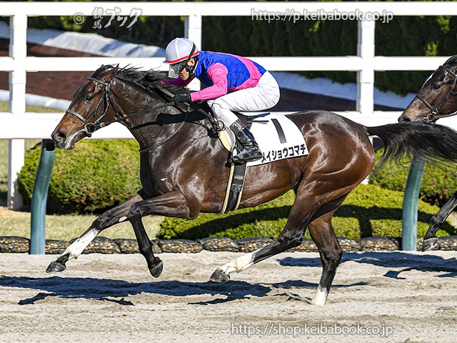 対馬寒蘭 コーケン オンライン｜多角マフラー ZX25R フルエキゾースト