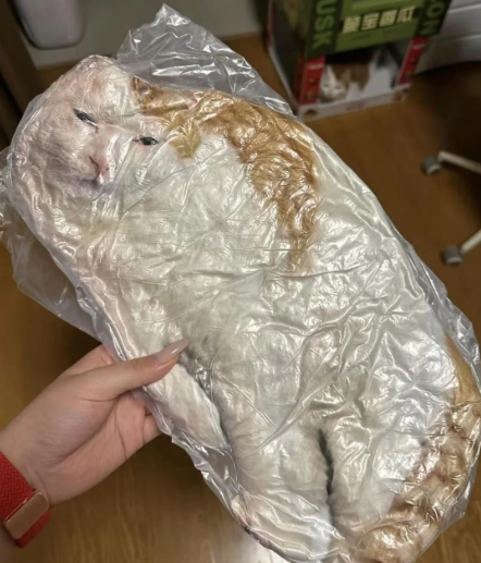 klara_sjo's tweet image. Just found this super rare Haitian MRE