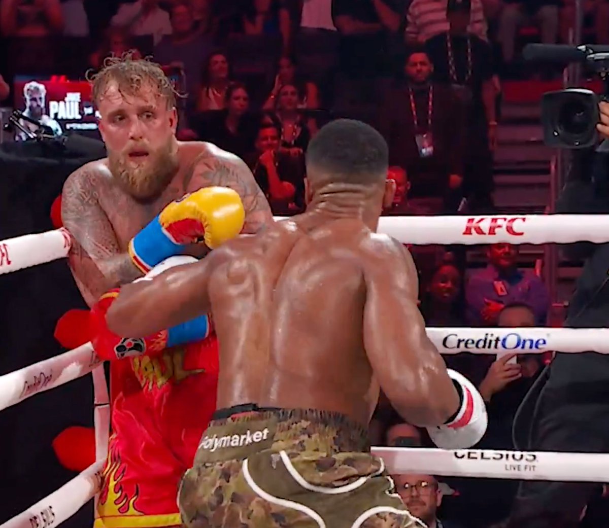 Brett Kollmann tweet media