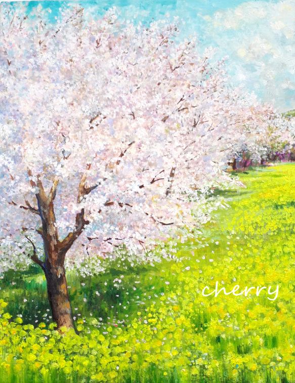 花霞の向こう －桜と菜の花－ 』油絵 F6号 満開の桜と、足元に広がる