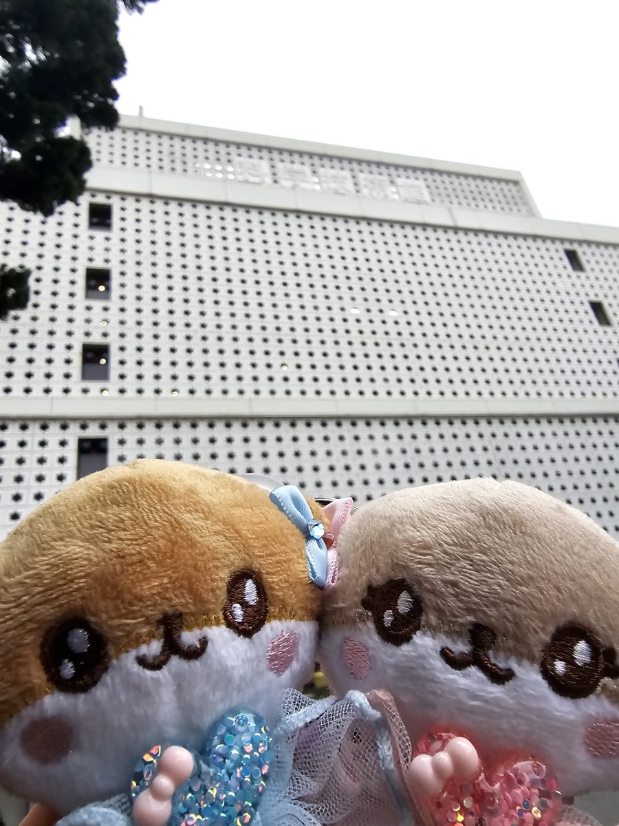 唯ちゃん今年最後のイベントがんばりまめ大福です(OvO)!!