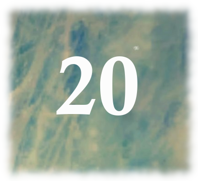 pieseller's tweet photo. For our 20th Hobbity Yule Calendar surprise, we have a recipe for vegan eggnog, "veggnog", that tastes lovely also without alcohol!

https://t.co/ioW03iqakA

#LOTRO #hobbits #adventcalendar https://t.co/QyuN6mna8j