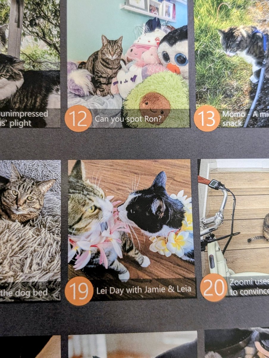 girlie_mac's tweet image. Aww, I received my calendar 💖
Jamie &amp;amp; Leia represent May 19! (Not on Lei Day 5/1 but I'm still delighted!) #CatsOfMicrosoft