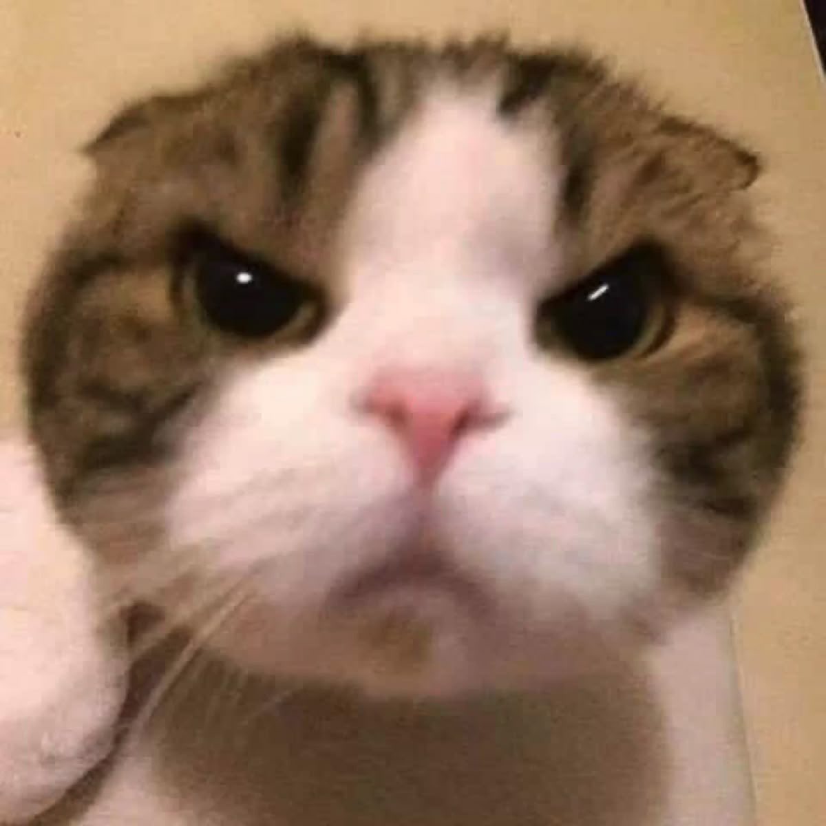 こはʓ tweet media