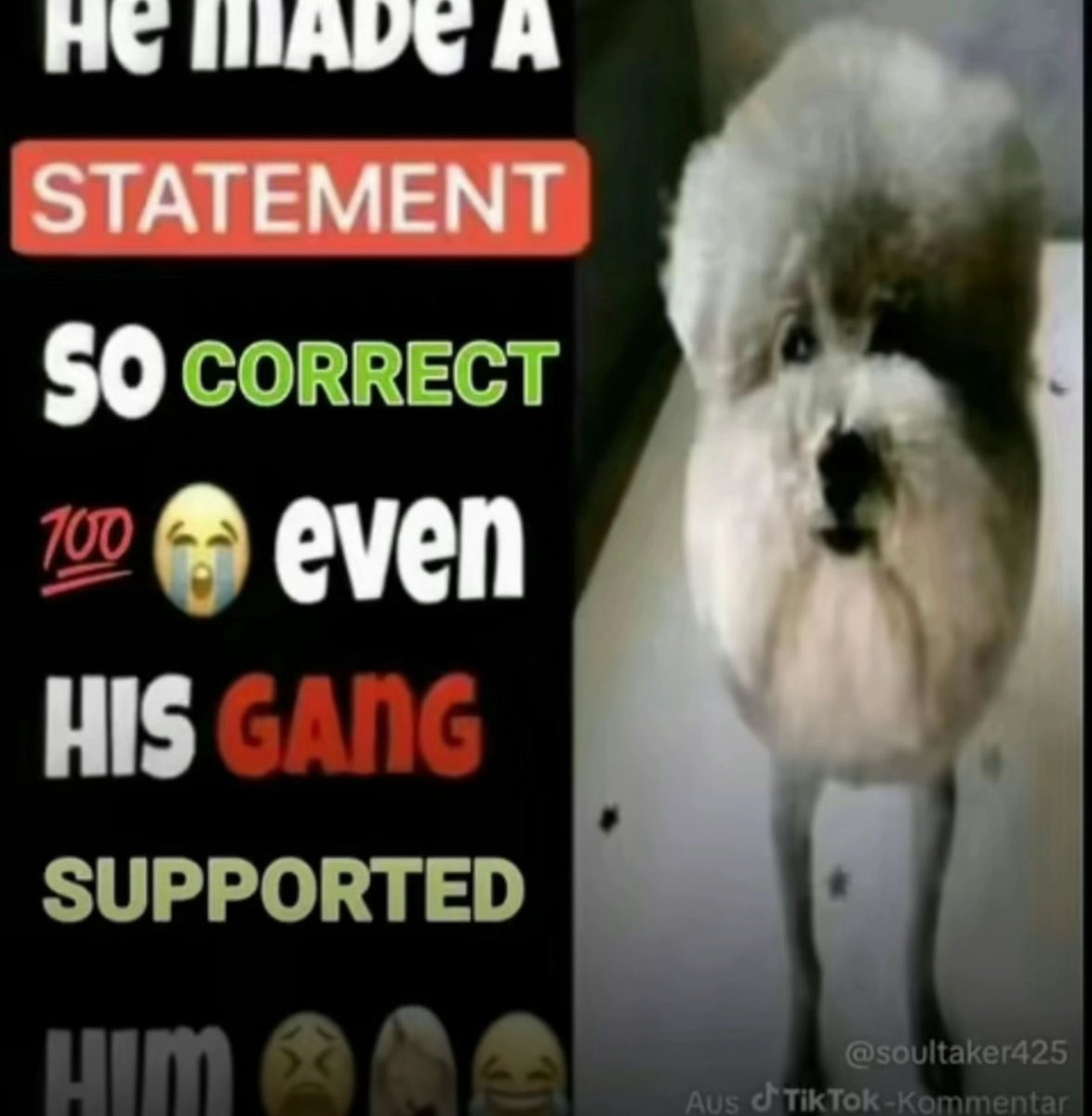 •*+ {🩸} 2011x {♥️} +*• tweet media