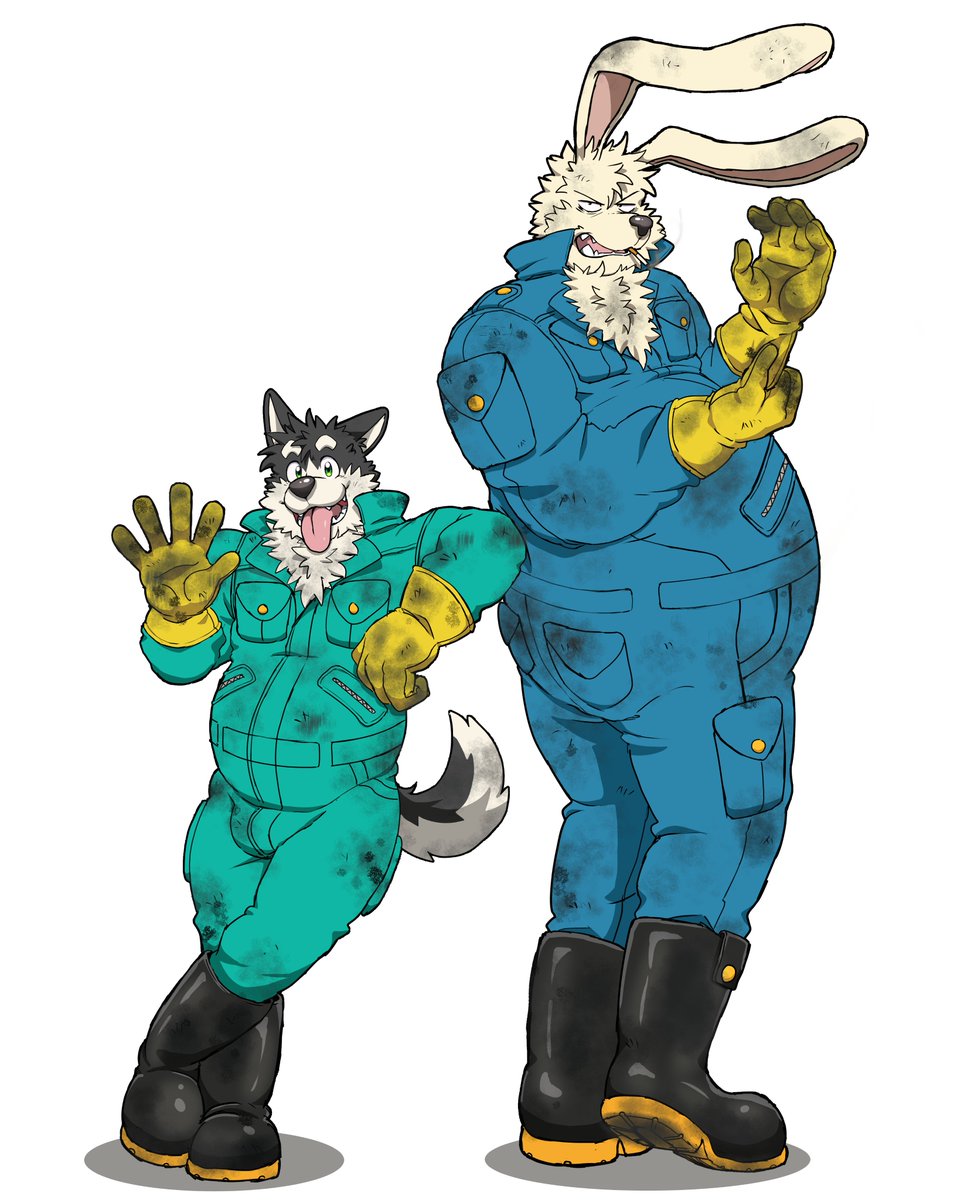 Haru - The Musky Husky tweet media