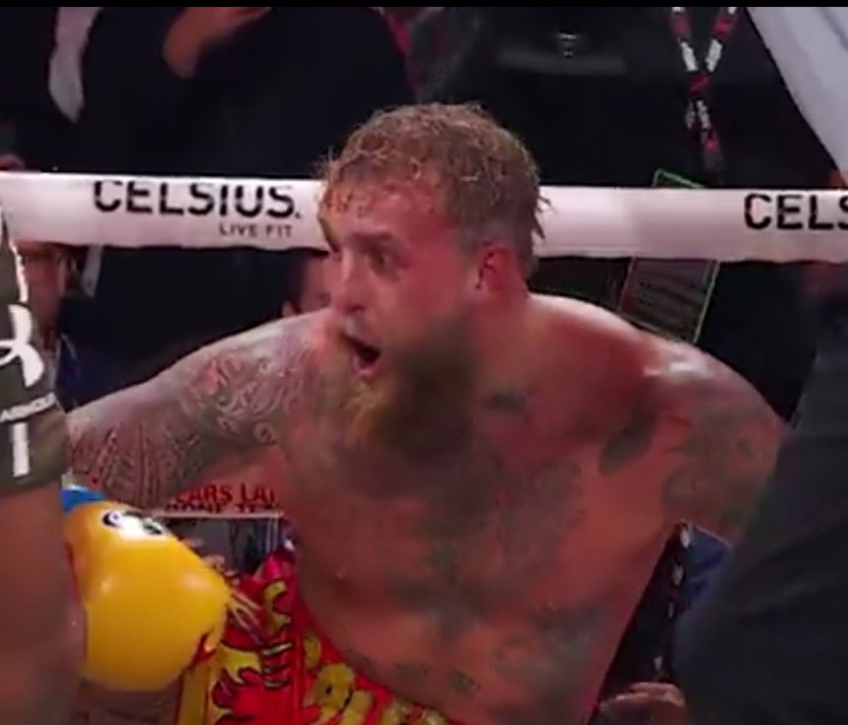 Beavetowski's tweet image. That "Oh. Wow" is what happens when the punch isn't scripted.  Imagine if Anthony hit him with a real punch?  #JakeJoshua 

You've proved your point... You aren't a real boxer.