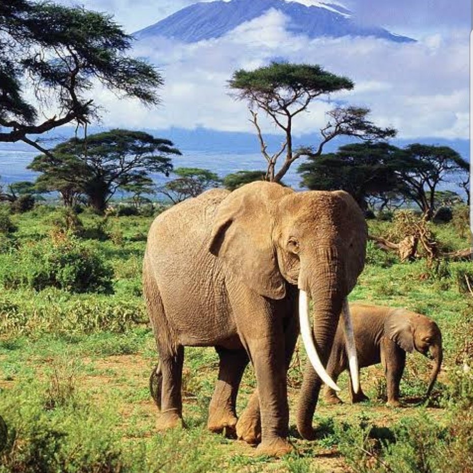 Sandra07RST's tweet image. #NewProfilePic