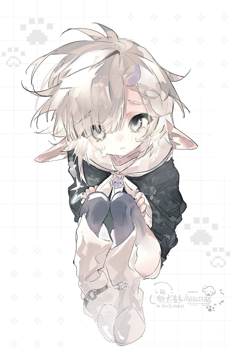 犬もも tweet media