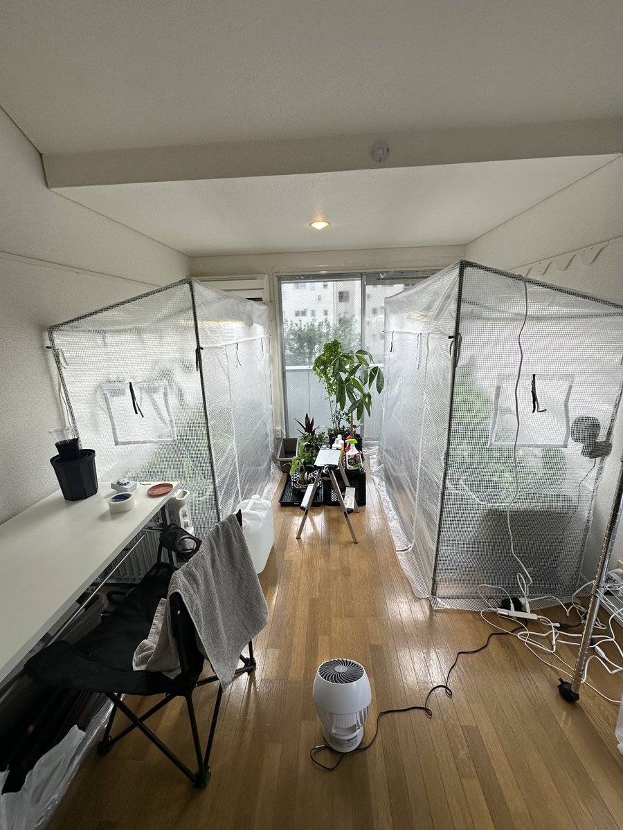 masayaページ Masaya (@masaya_zxrs) / Posts / X