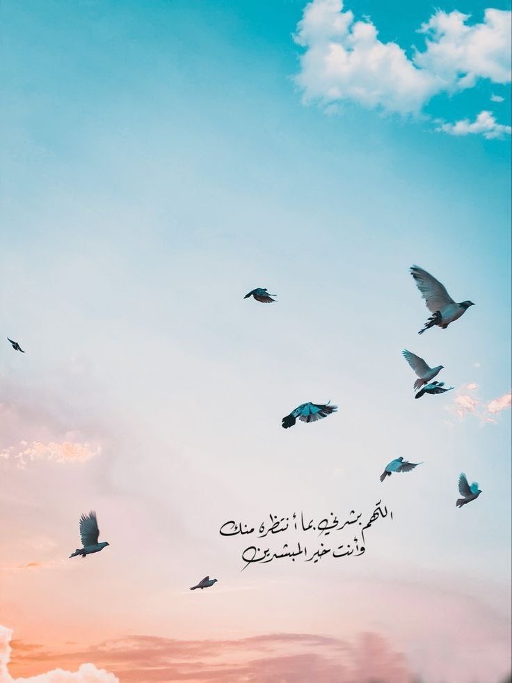 يا ربّ الأرزاق، هب لنا من الرزق خيرَه، رزقًا لا يُلهينا ولا يُعمينا عن غاية خلقنا، رزقًا يزيدنا تعلّقًا بك، وشكرًا لك، وثناءً عليك، رزقًا حلالاً طيبًا، لا نضلُّ من بعده، ولا نطغى، ولا نشقى🤍