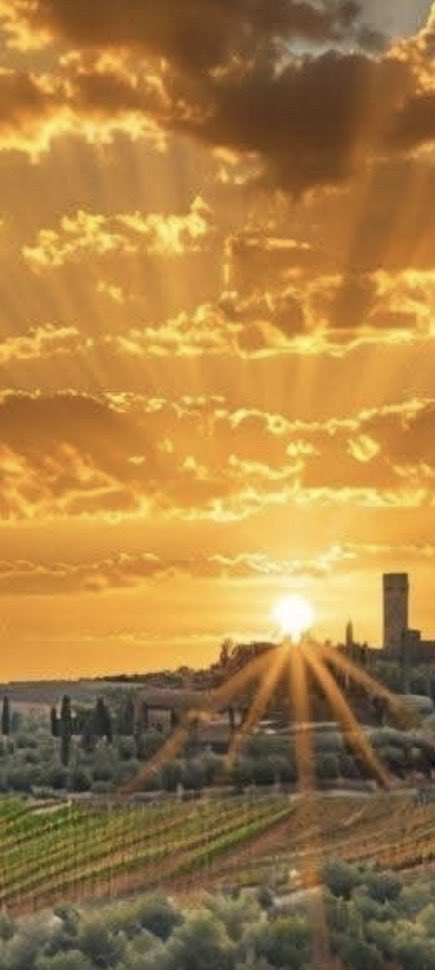 Günaydın❤️❤️❤️