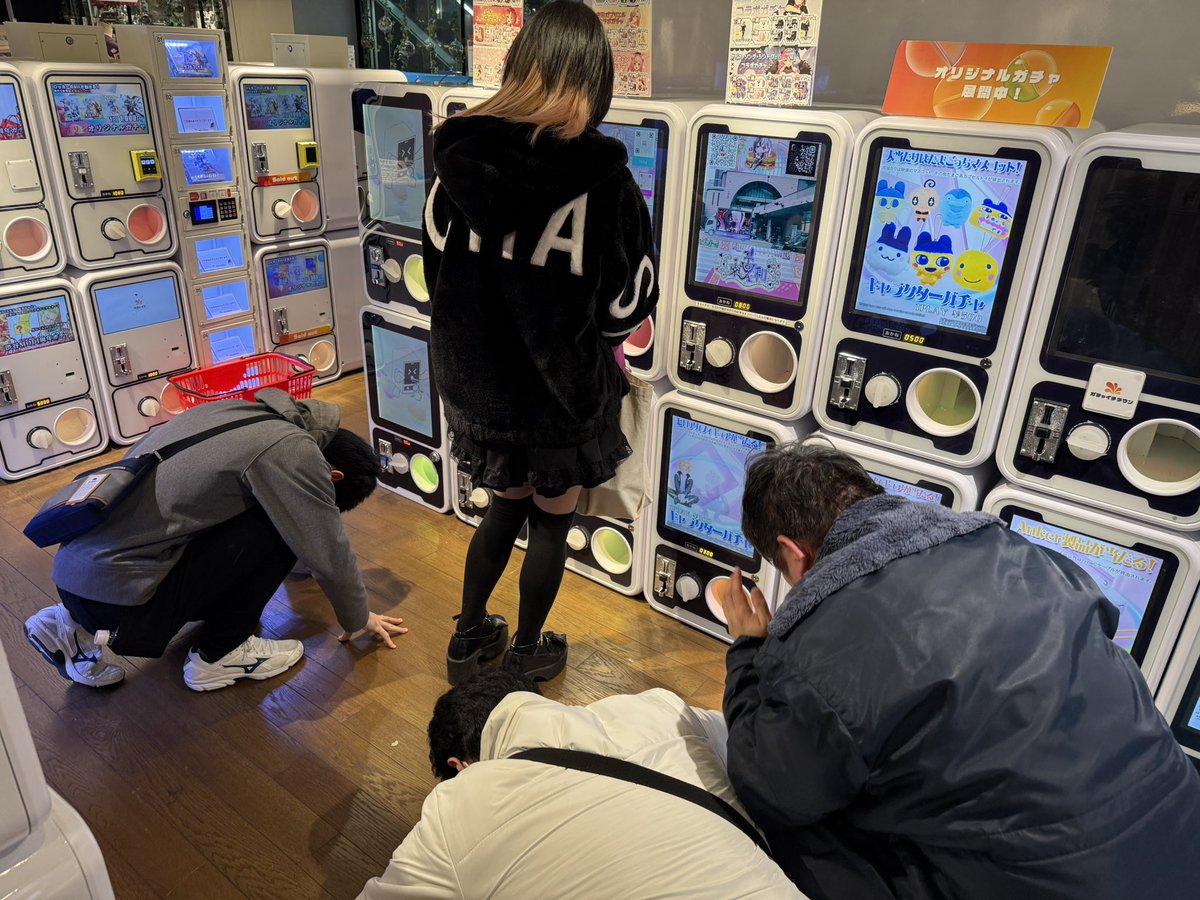 ガチャイチタウン渋谷MODI店 tweet media