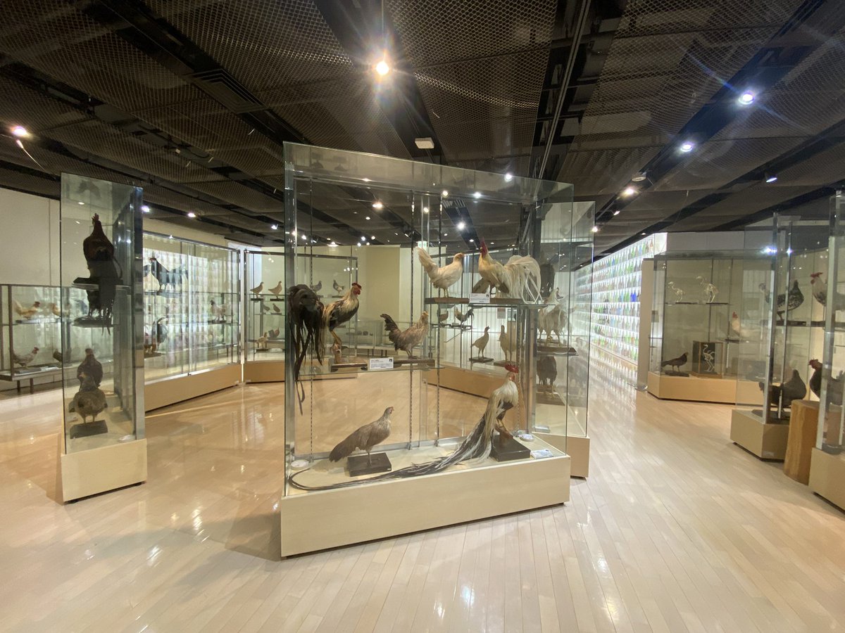 shioramen8446I's tweet image. だから無料なのおかしいって！！！！！