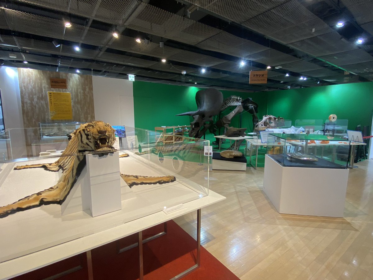 shioramen8446I's tweet image. だから無料なのおかしいって！！！！！