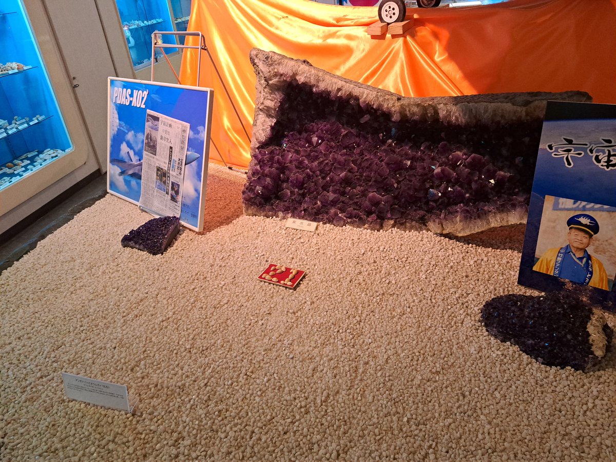 クリスマスツリーとアンモナイト。シュール。 クリスマスプレゼントに