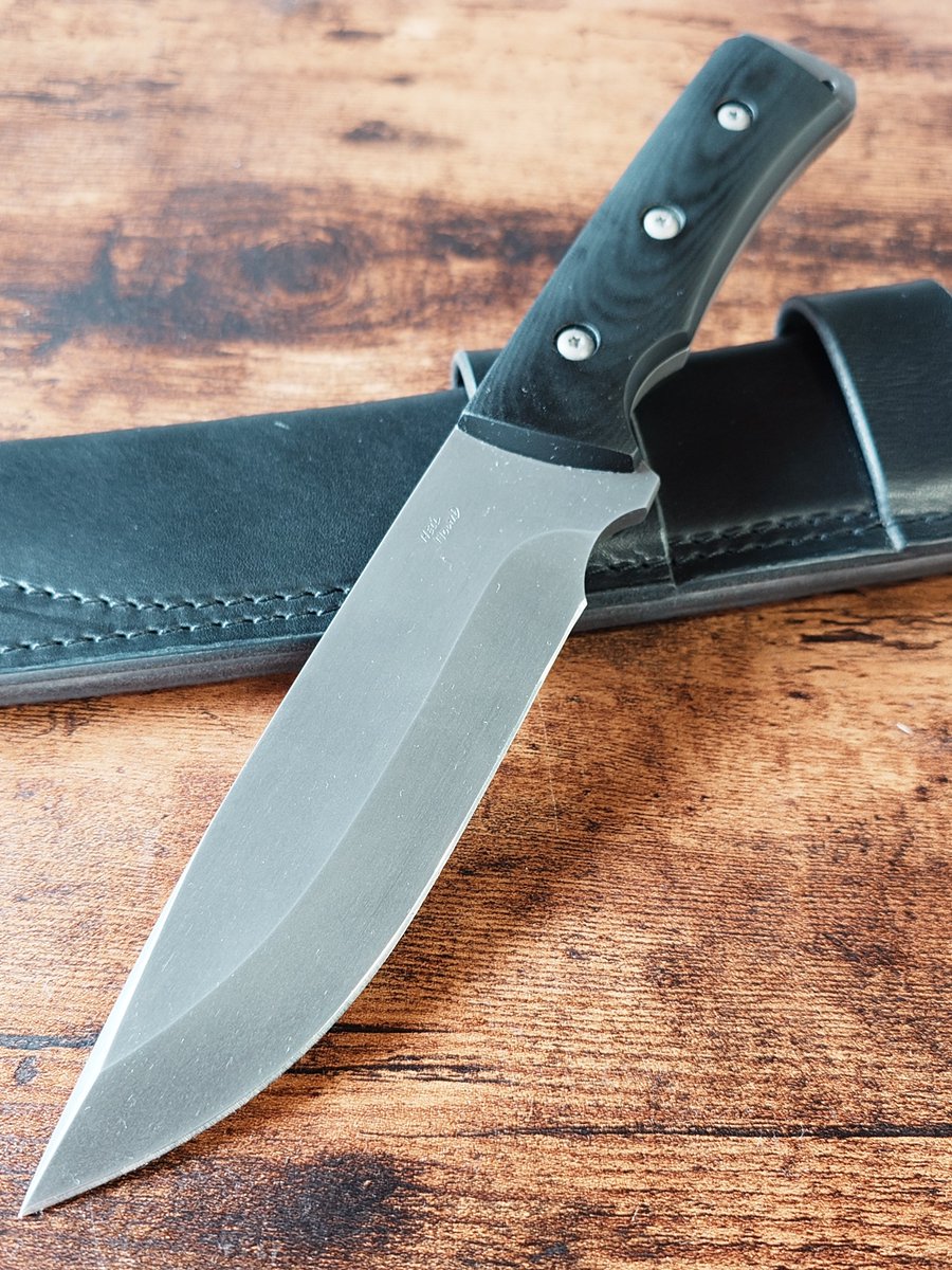  Meyer Fluweh 犬と蜂 Meyer Fluweh 犬と蜂 All the buzz: US dog helps researchers