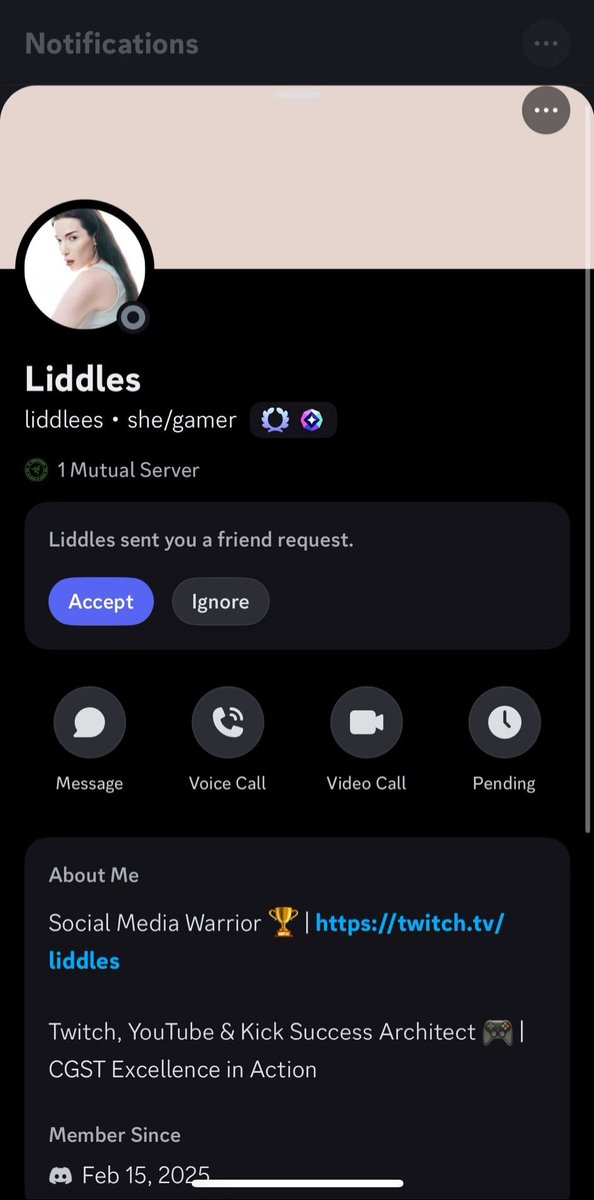LiddlesTV's tweet image. Reminder that I'm still deeply introverted, borderline antisocial &amp;amp; wouldn't ever DM someone I don't know anywhere. 
DM's are sacred to me. I rarely even DM people i know lmao. Please if you get one of these just report it 🙏

I get daily msgs about scamming impersonators which…