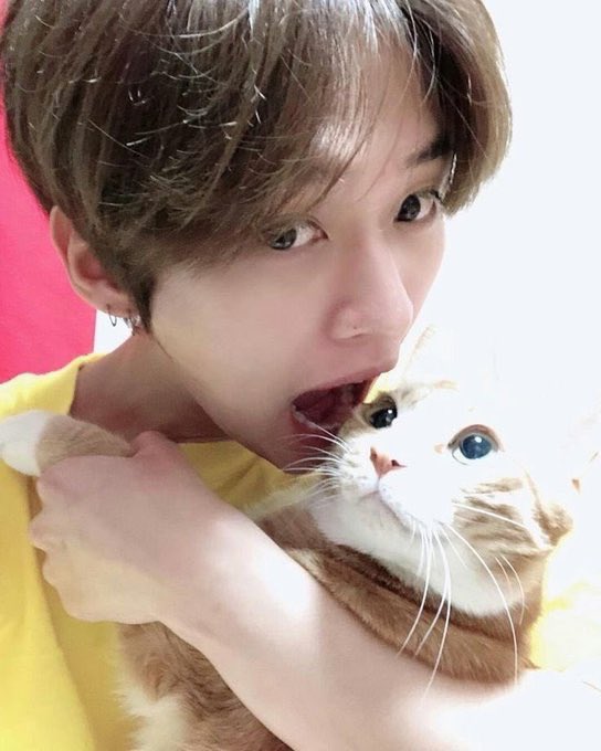 meowppang's tweet photo. soonie…..RUN https://t.co/7qJgyeDKgY