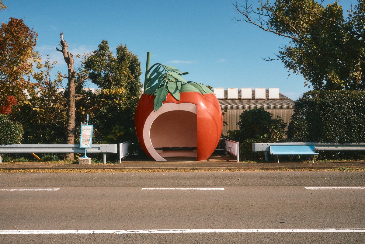 浜ちゃんと土人 Love these bus stops