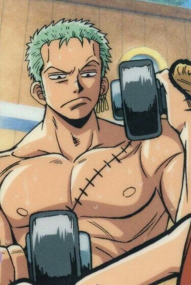 Daily Zoro (@daily_zoro) on Twitter photo 