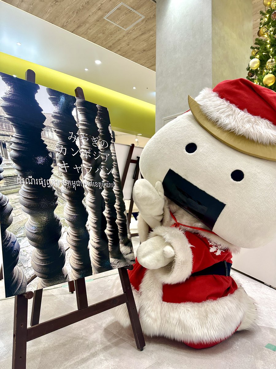 むすび丸 (@musubi_maru) / Posts / X