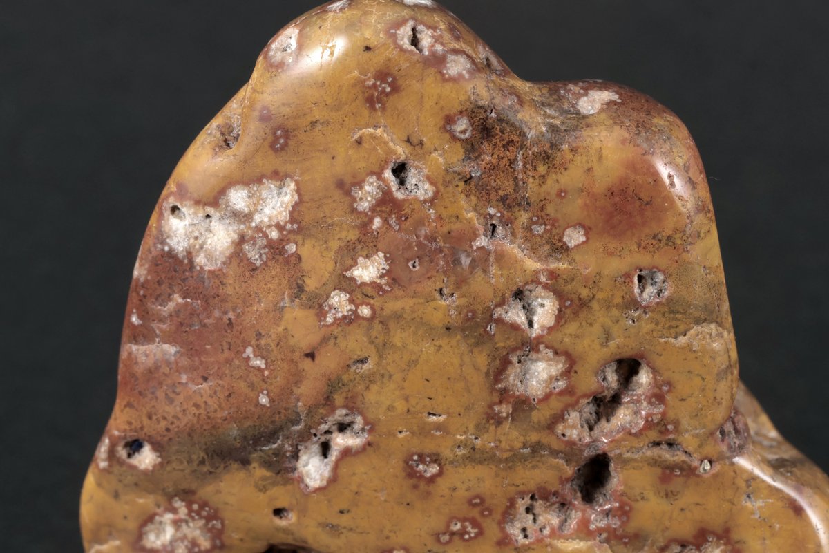 本日は、根尾桜石を出品しました。 暗い赤色や朱色、黄土色、白色など