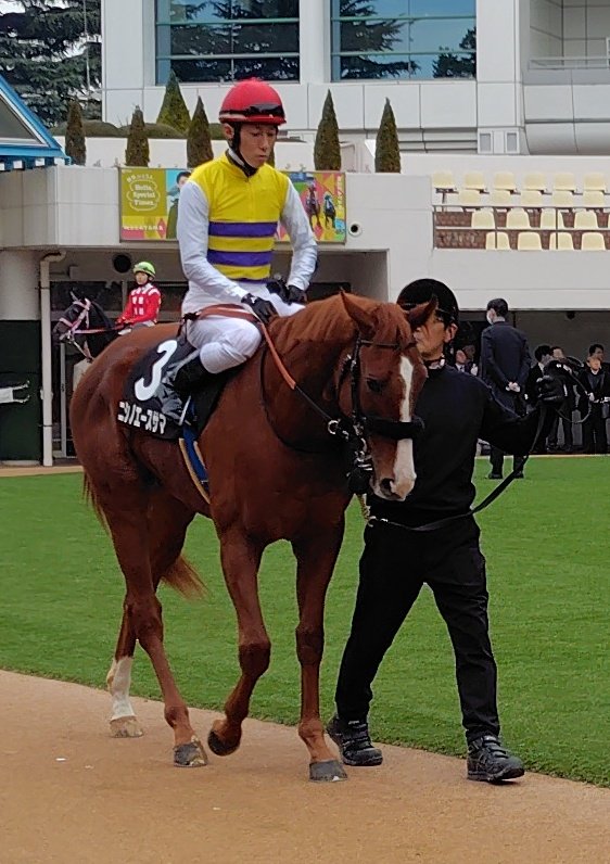 合う馬 PC112308-500x375.jpg