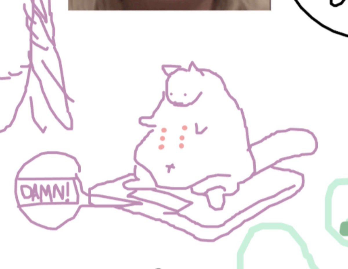 Erika kirk and a fatass cat