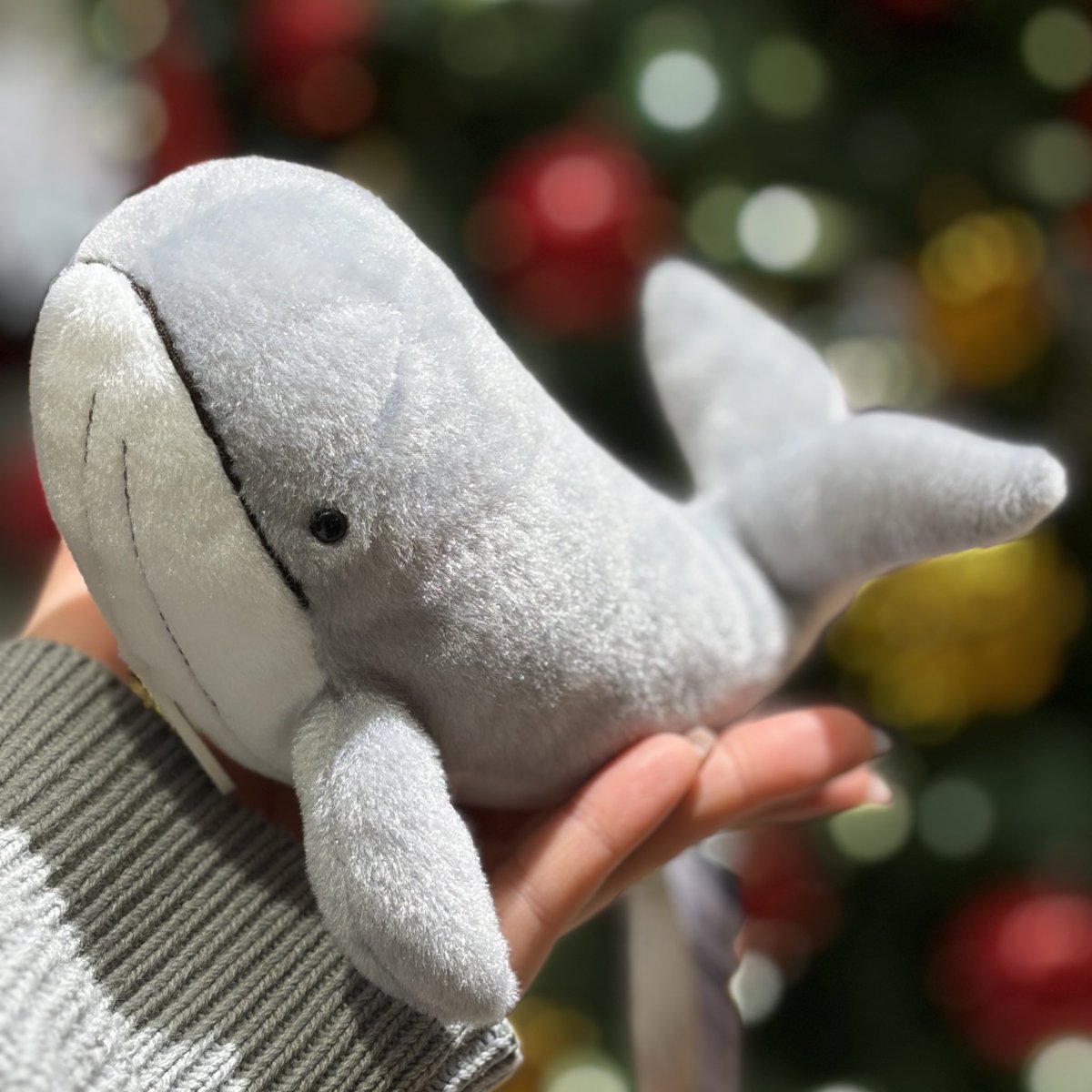 くまごろう (@Kuma_Gorou_9056) / Posts / X