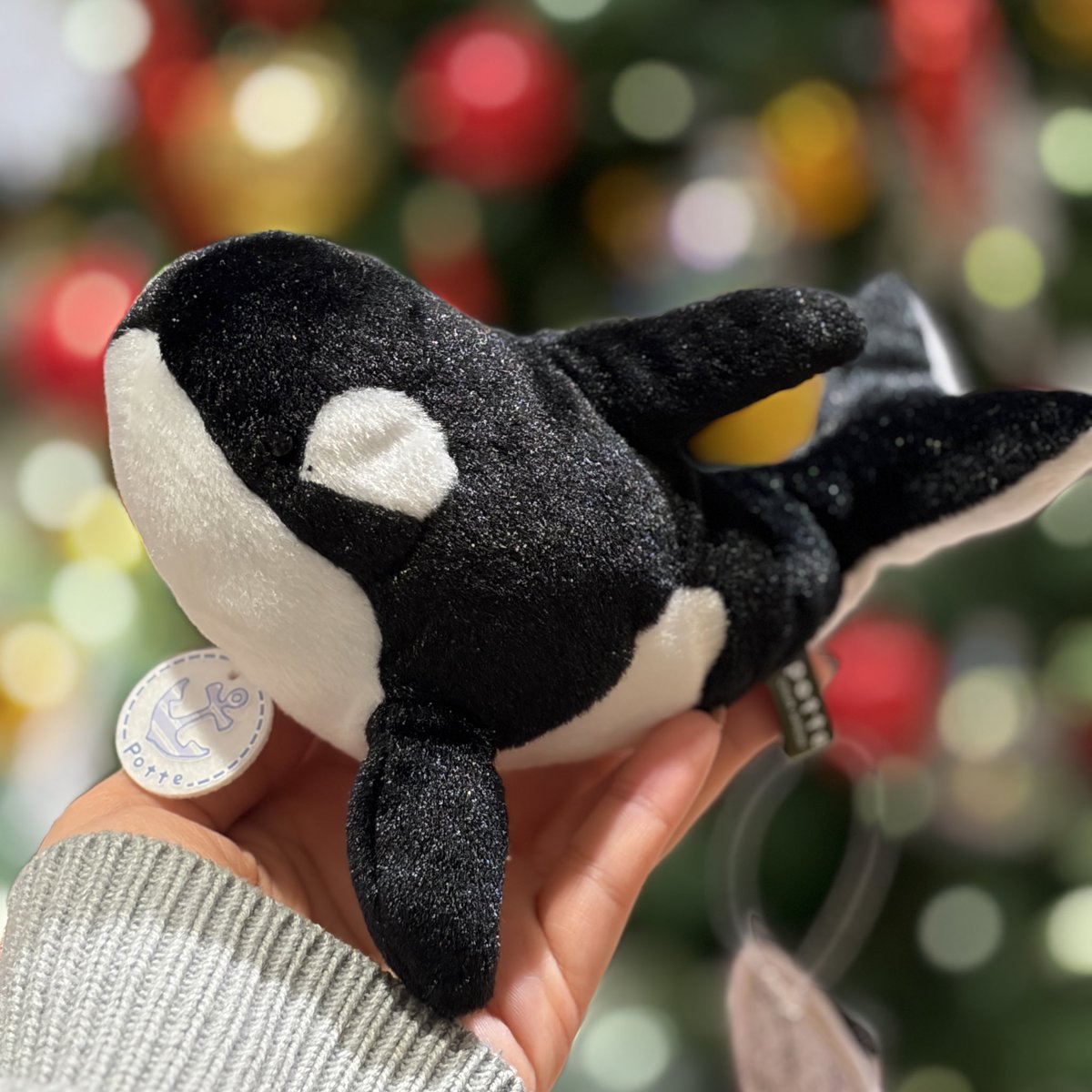 くまごろう (@Kuma_Gorou_9056) / Posts / X