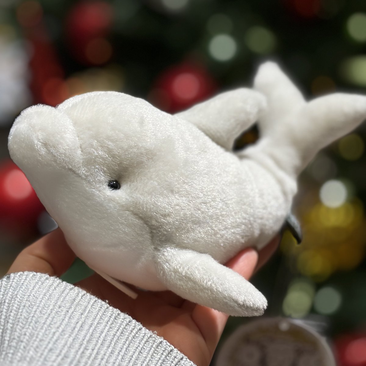 くまごろう (@Kuma_Gorou_9056) / Posts / X