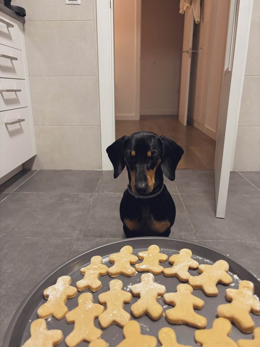 Alejandra tweet media