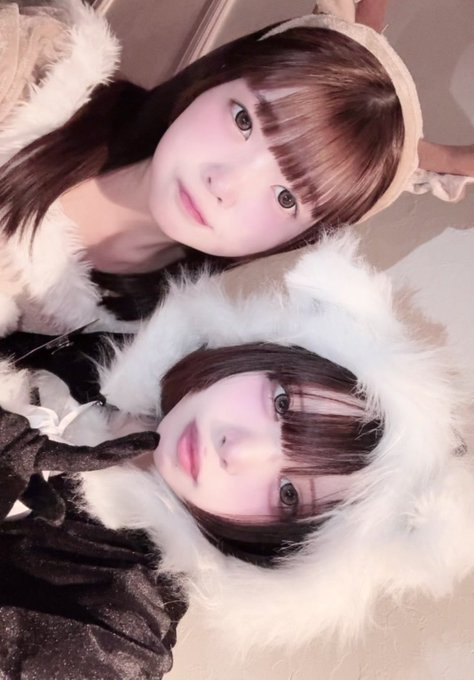 ばにーてーるのイメージ