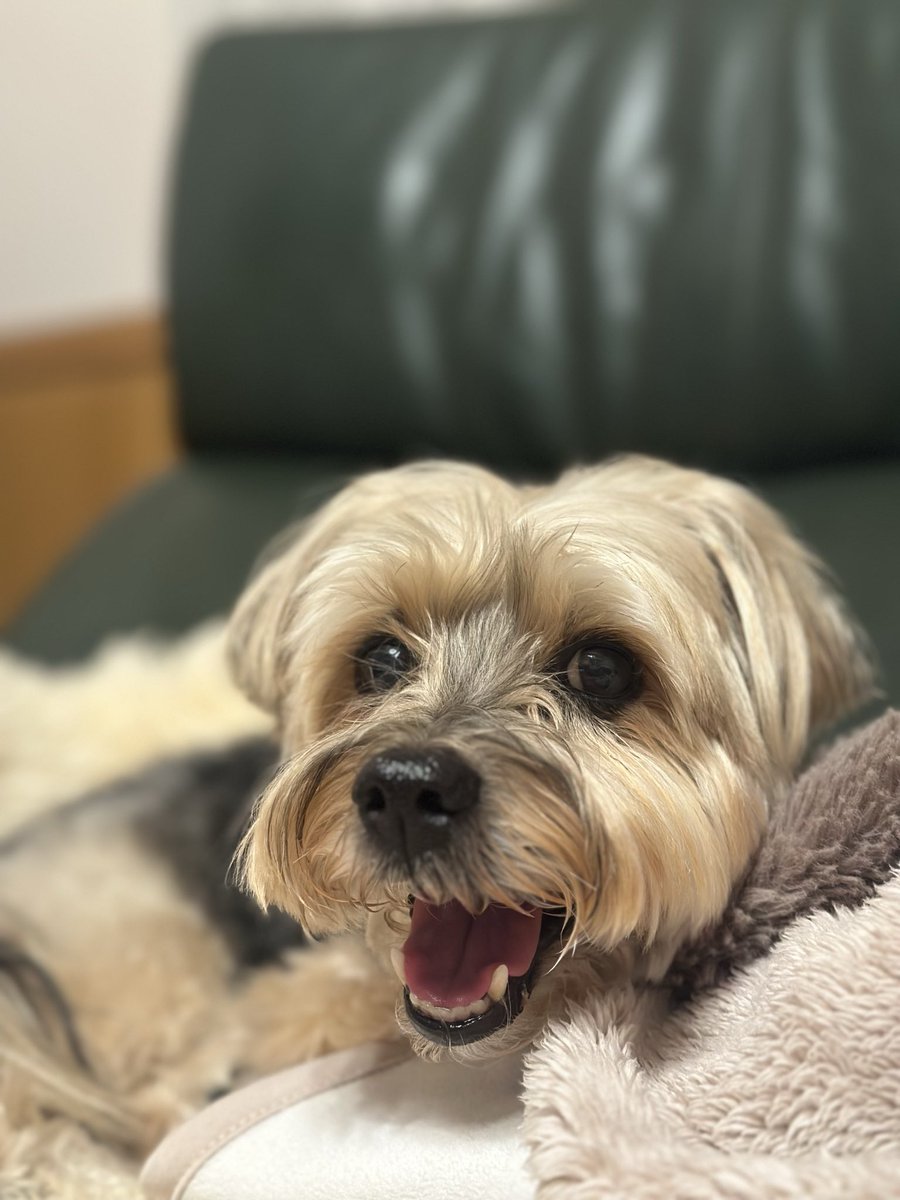 らっちゃんズ (@RawMeat_Lover) / Posts / X