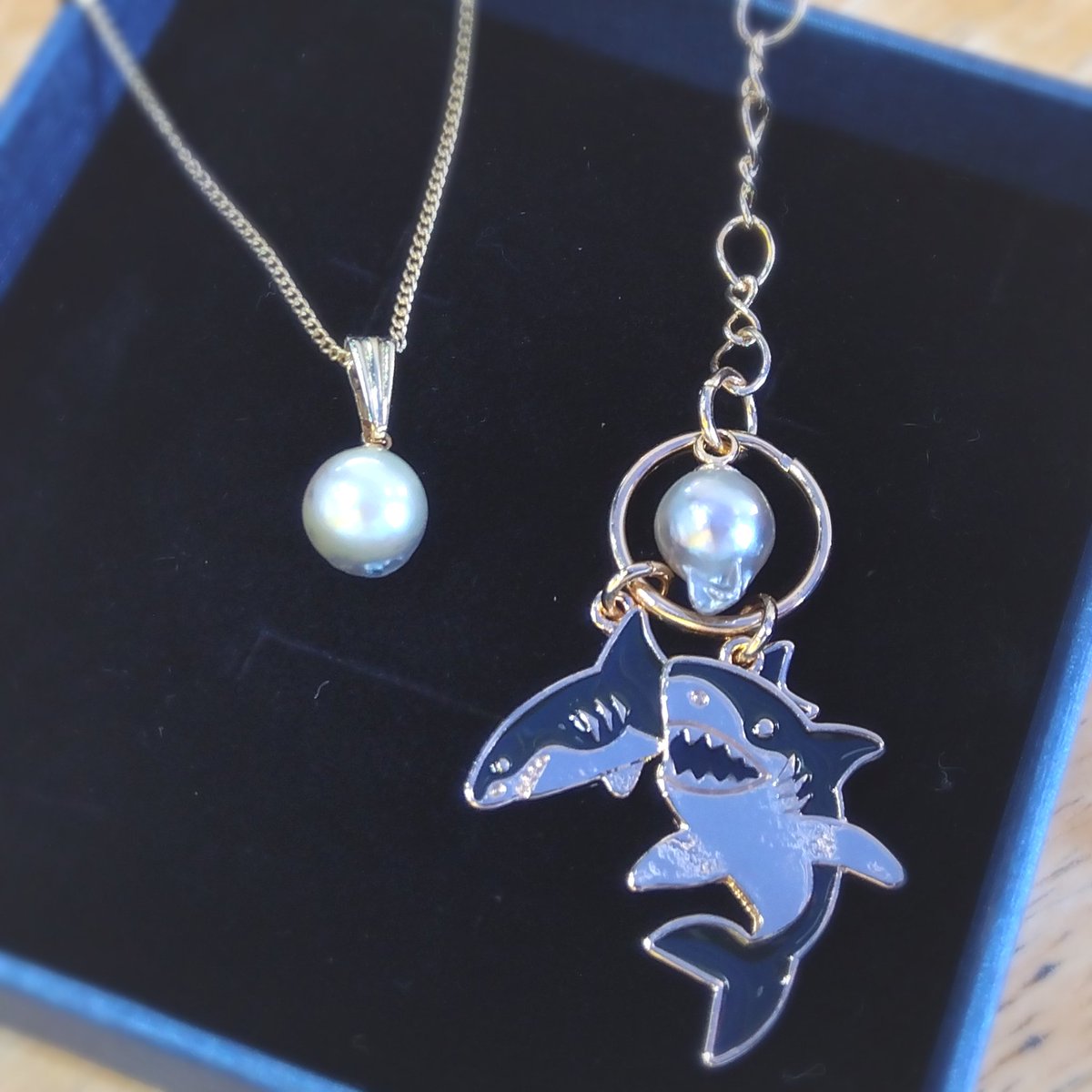 アクアワールド大洗水族館⚪️💍✨真珠取り出し体験 (@pearl_oarai