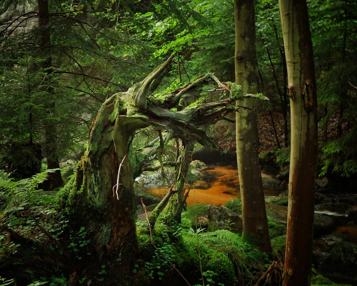 from the trail a few years ago...