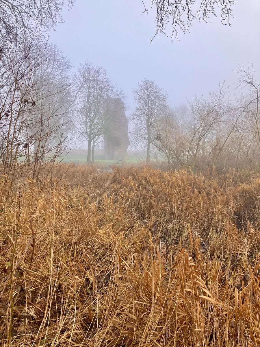 Mistig rond het Huis vanochtend…