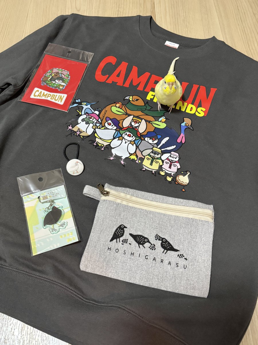 鳥フェス千葉 のお迎え品です𓅪 ことりマニアさん(@minakaming