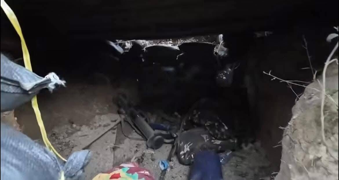 🐯 All Quiet on the Western Front tweet media