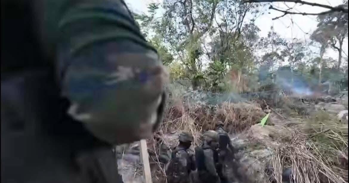 🐯 All Quiet on the Western Front tweet media