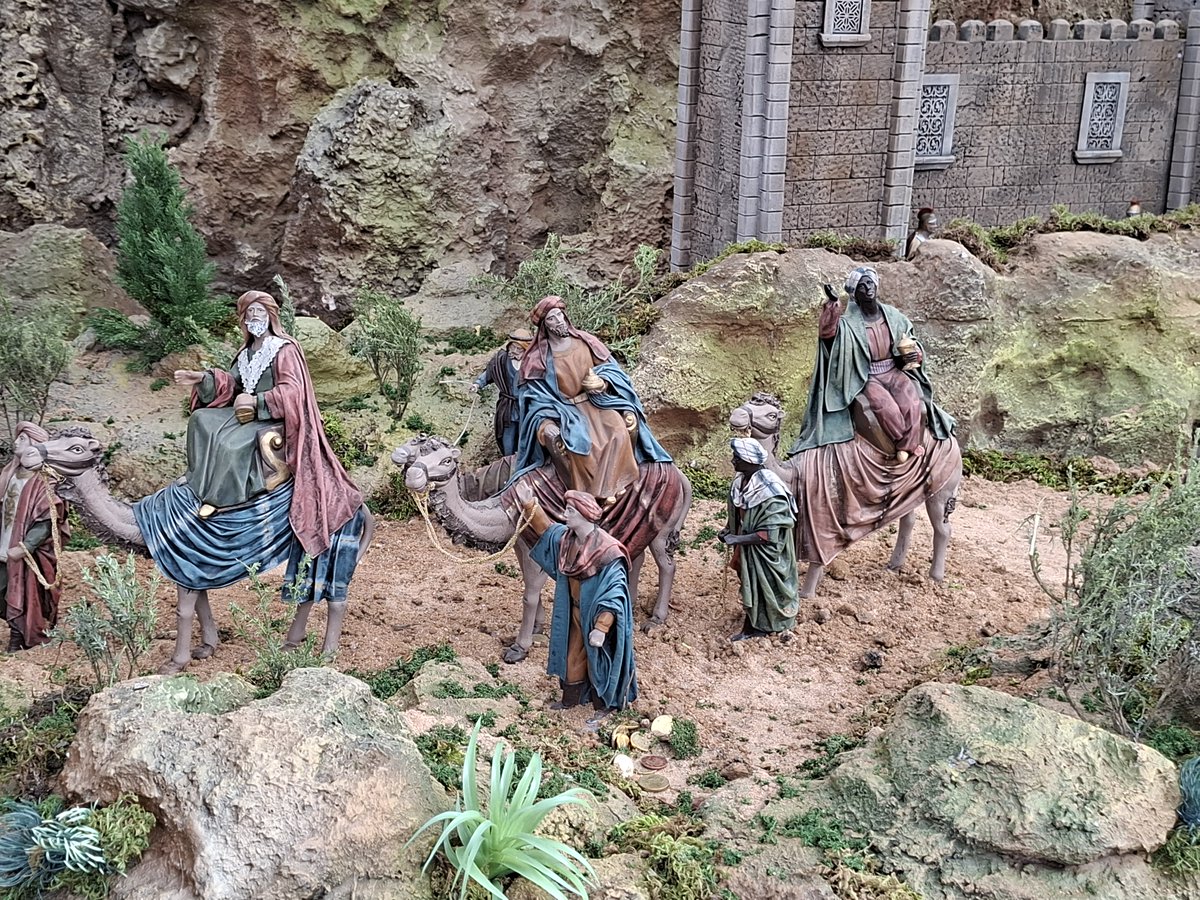 IES Politécnico Las Palmas tweet media